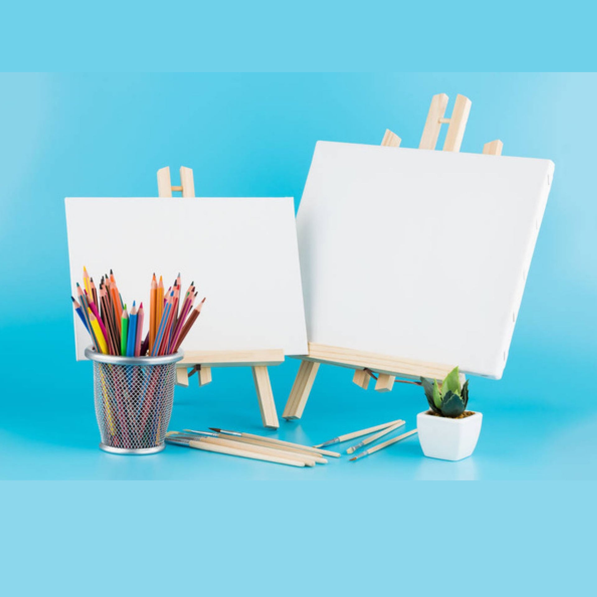 Lienzos de Pintar