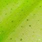 TELA-TUL-ESCARCHADO-ESTRELLAS-COLOR-VERDE-PISTACHO