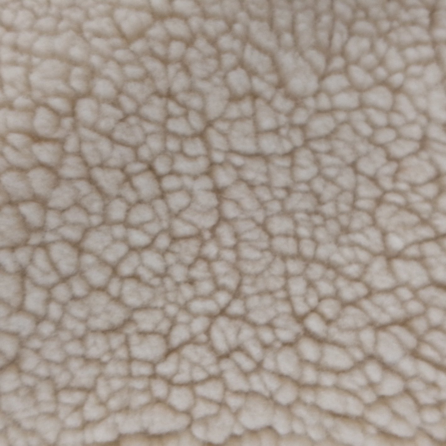 Borrego Fino x Metros